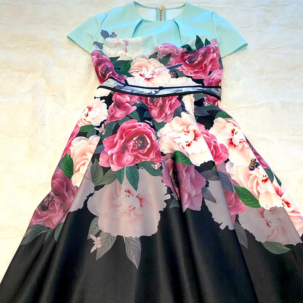Ted Baker dress size 0